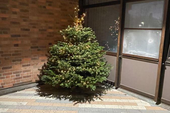 Unser Weihnachtsbaum vor dem Haupteingang